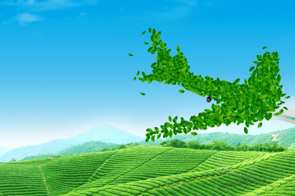“水形物語(yǔ)”：農(nóng)業(yè)科技是如何提高灌溉效率的？